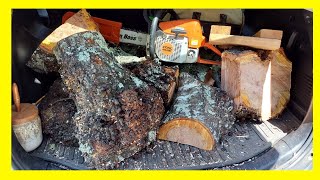 What is a Burl How Do You Handle One [upl. by Rudiger]