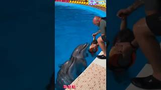 Dolphin 🐬 fish beautiful moment shortsfeed dolphin youtubeshorts [upl. by Anirahtak]