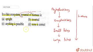 In a lake ecosystem pyramid of biomass is [upl. by Aman]