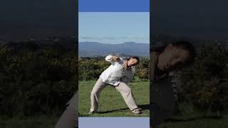 Join the 30Day Qigong Challenge [upl. by Schmitz]