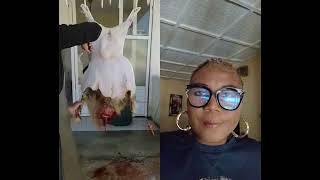 How to remove the hide like a pro shortsfeed shortvideo shortsviral skills butchery [upl. by Shanks]