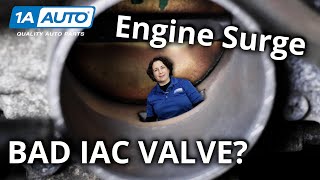 Car Engine Revving Up and Down How to Diagnose Engine Surge [upl. by Heyward]