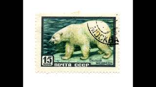 Russia CCCP old stamps 19001958 [upl. by Yror220]