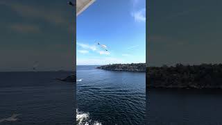 Viking cruise ship leaving Norway cruising [upl. by Ysabel]