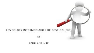 Soldes intermédiaires de gestion et analyse du résultat [upl. by Eyahsal215]