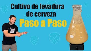 Cultivo de levadura para hacer cerveza en casa Paso a paso [upl. by Young]