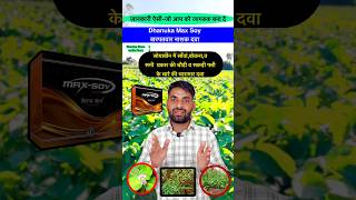 सोयाबीन के लिए  Dhanuka Max Soy Herbicide shorts youtubeshorts ytshorts Max soy tan nashak [upl. by Markman]