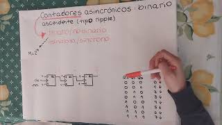 29  Contadores asincrónicos contador binario ascendente tipo ripple [upl. by Chap279]