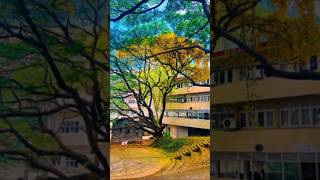 Faculty of Medicine University of Kaleniya 😍🥼🩺 medicine mbbsmotivation [upl. by Murdock]