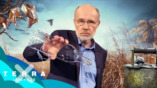 Dürre Zeiten – Der Kampf ums Wasser – Leschs Kosmos Ganze TVFolge  Harald Lesch [upl. by Eniawtna716]