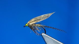 Tying a March Brown Using Yli Silk with Davie McPhail [upl. by Assili429]