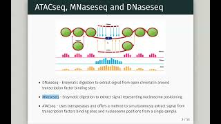 ATACseq in Bioconductor [upl. by Mariano]