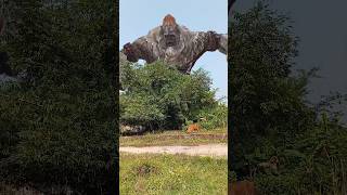 Soitan king Kong spiderman ke marte eloyoutube spiderman tranding [upl. by Carbrey]