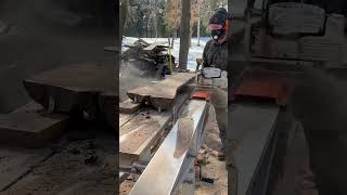 Slicing Short Black Walnut Slabs for Small Woodworking Projects [upl. by Airetnohs]