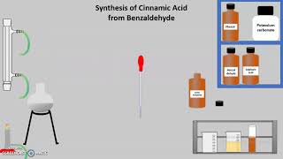 Synthesis of Cinnamic Acid From Benzaldehyde [upl. by Eigram]