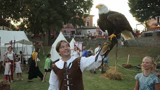 12 Srednjovjekovni festival oko kaštela Morosini  Grimani [upl. by Oilejor]