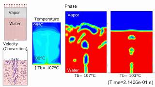 CFD Pool Boiling Simultaneous Heat and Mass Transfer Model [upl. by Yraeht]