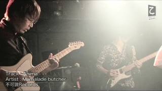 Marmalade butcher  Anima【PARABOLA SPECIAL LIVE MOVIE 201702】 [upl. by Anelak]