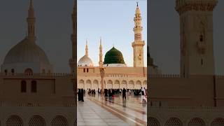 Walking Near the mosquemadina shortvideo ❤️❤️❤️❤️zeeshu ki duniya 786 [upl. by Etnovaj575]