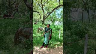 3 September 2024 lata mangeshkar old hindi movie song  Old hindi song youtubeshorts viralvideo [upl. by Llerol277]