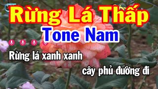 Karaoke Rừng Lá Thấp Tone Nam  Am  Nhạc Sống Hay Nhất  Karaoke Tuấn Cò [upl. by Aerdnat]