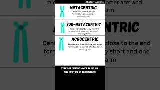 Types of Chromosomes [upl. by Sirrad34]