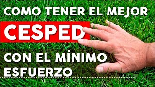 6 Consejos para mantener un césped saludable AHORRANDO tiempo y dinero [upl. by Notsuj]