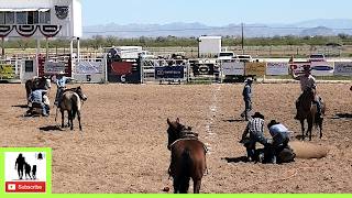 Stray Gathering  Rail 3 Ranch Rodeo Censored [upl. by Venice]