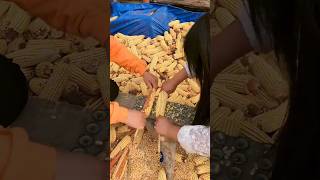 Manual process of corn removal [upl. by Kelwunn]