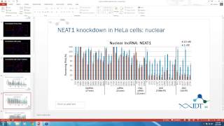 Knockdown of lncRNAs exploring RNAi and antisense oligo methods [upl. by Janeva614]