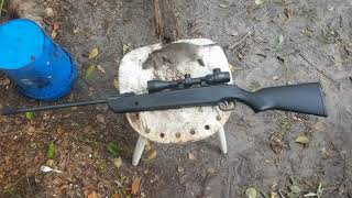 Winchester 1100 kills big old rat [upl. by Verna]