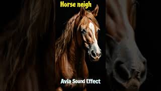 Horse Neigh Sound effect soundsfx soundeffect shorts [upl. by Fornof]