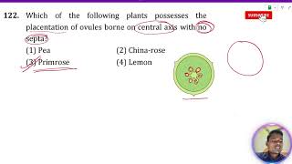 Which of the following plants posses the placentation of ovules borne on central axis with no septa [upl. by Nimajeb]