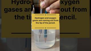 Electrolysis of water using pencil as a conductorscience experiment physics purificationprocess [upl. by Ancel362]