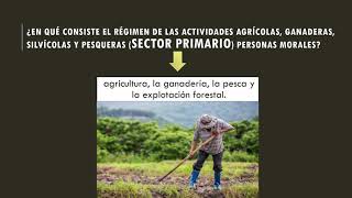 RÉGIMEN DE ACTIVIDADES AGRÍCOLAS GANADERAS SILVÍCOLAS Y PESQUERAS personas morales [upl. by Llatsyrc]