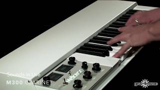 Mellotron M4000D Mini [upl. by Northey]