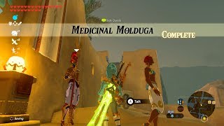 Zelda BOTW Medicinal Molduga Side Quest [upl. by Pubilis]