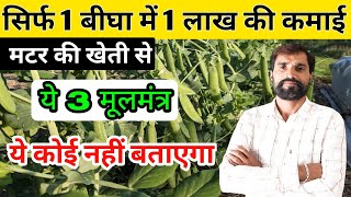 मटर की खेती से लाखों की कमाई के 3 मूलमंत्र  Matar Ki Kheti  Pea Farming [upl. by Caravette452]