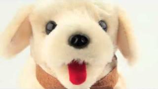 Flippin Puppy Soft Toy from Hawkins Bazaar [upl. by Emily]