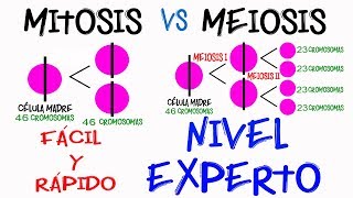 Diferencia Mitosis y Meiosis NIVEL EXPERTO en 2 minutos Fácil y Rápido  BIOLOGÍA [upl. by Clippard761]