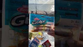 FIRST time fishing the TX city Dike🦐🌊fishing fish entertainment viralshort viralvideo fun [upl. by Ilwain30]