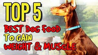 BEST DOG FOOD TO GAIN WEIGHT AND MUSCLE [upl. by Rodenhouse]