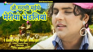 O Gaddni Muiye Meriyan Bhedaliyan  Himachali Pahari Video Song  Pahari Geet  Pammi Thakur [upl. by Hoenack]