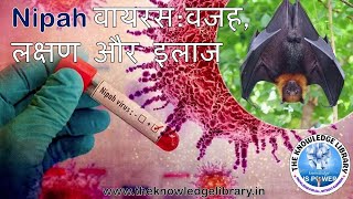 Nipah वायरस  वजह लक्षण और इलाज  5 Facts On Nipah Causes Symptoms And Treatment [upl. by Setarcos]