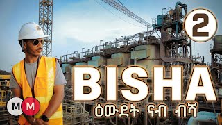 Exploring the Bisha Gold Mine in Eritrea PART 2 ዑደት ናብ ኩባንያ ዕደና ብሻ AlenaWaltaHager [upl. by Riannon]