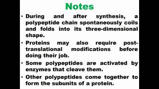 Important Notes of DNA Translation [upl. by Imogene]