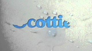 Scotties TV Commercial 1980sTV Commercial [upl. by Ebocaj]