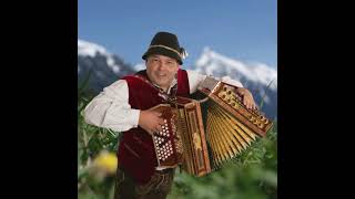 BayerwaldMusiker Ich bin vom Bayerwald Alpenl Polka im ZillertalSound [upl. by Adnawak]