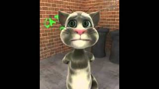 Talking Tom  chuyen tinh Lan va Diep [upl. by Neenad679]