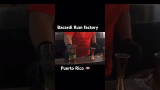 3 Bacardi Rum Factory tour in San Juan Puerto Rico 🇵🇷 bacardi rum puertorico [upl. by Curt]